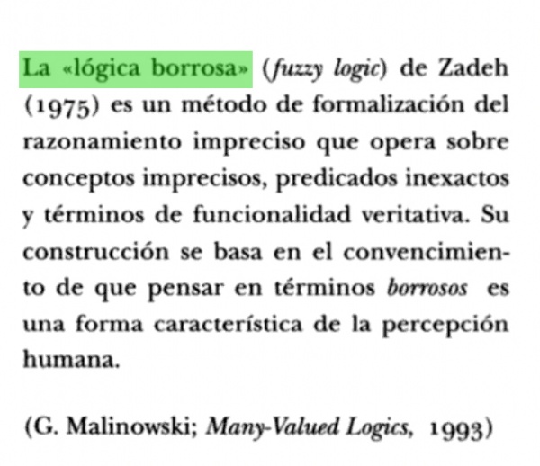 chantal maillard: la lógica borrosa