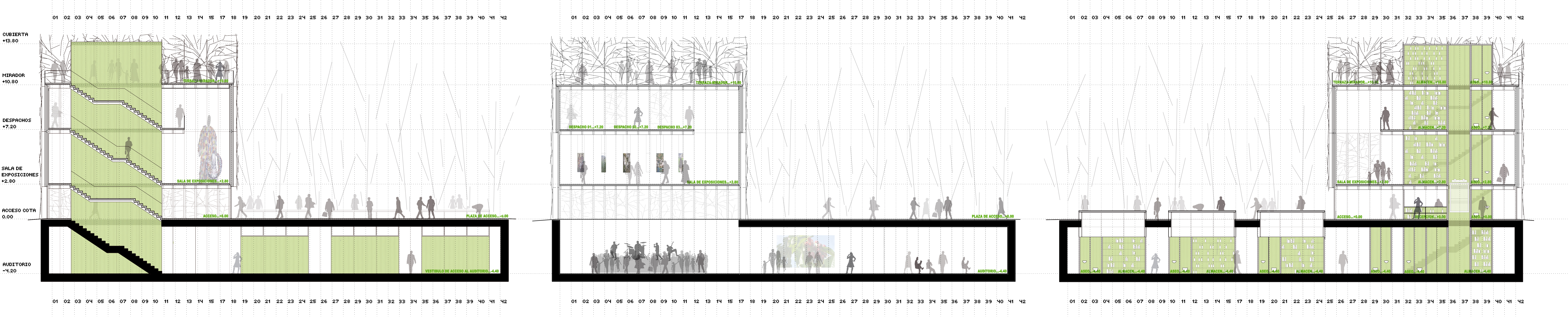 LONGITUDINALES_FINAL