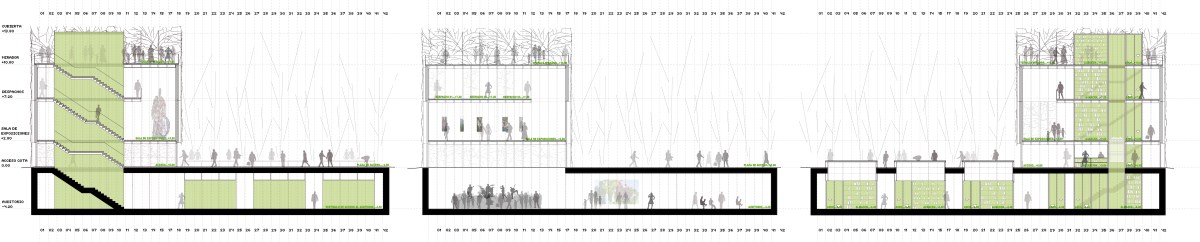 LONGITUDINALES_FINAL
